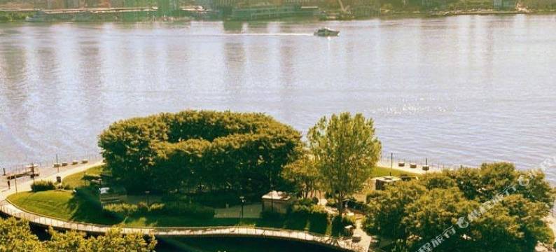 泽西市艺术区希尔顿嘉悦里酒店(Canopy by Hilton Jersey City Arts District)图片