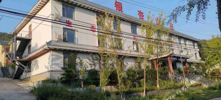 木札岭银杏山庄图片