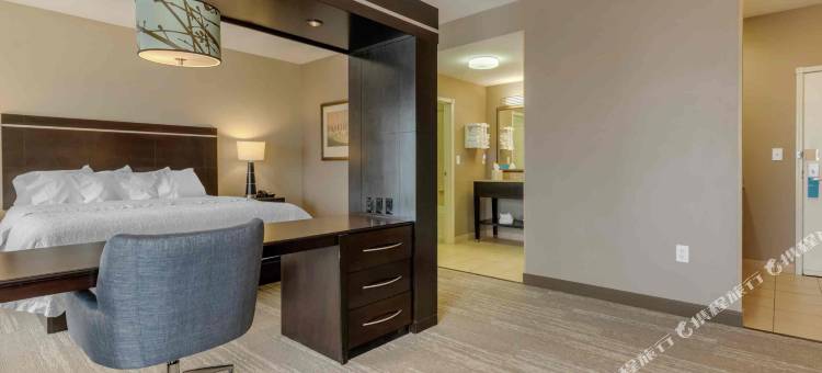 希尔顿欢朋酒店-阿拉莫萨(Hampton Inn Alamosa)图片