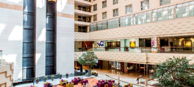 国际艺苑大酒店图片