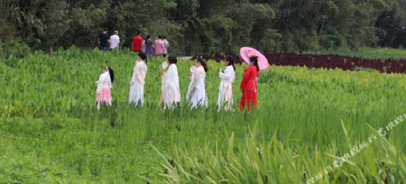 重庆老鹰窝·墨林竹院图片