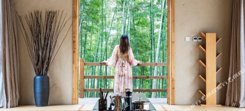 莫干山VISAYA意境民宿图片