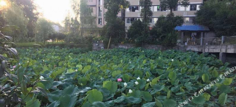 重庆黄泥湾休闲山庄图片