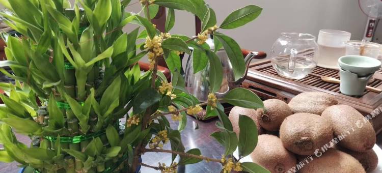 世通太极民宿图片