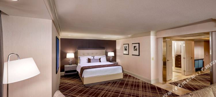 拉斯维加斯金银岛-TI酒店及娱乐场(Treasure Island – TI Las Vegas Hotel  & Casino)图片