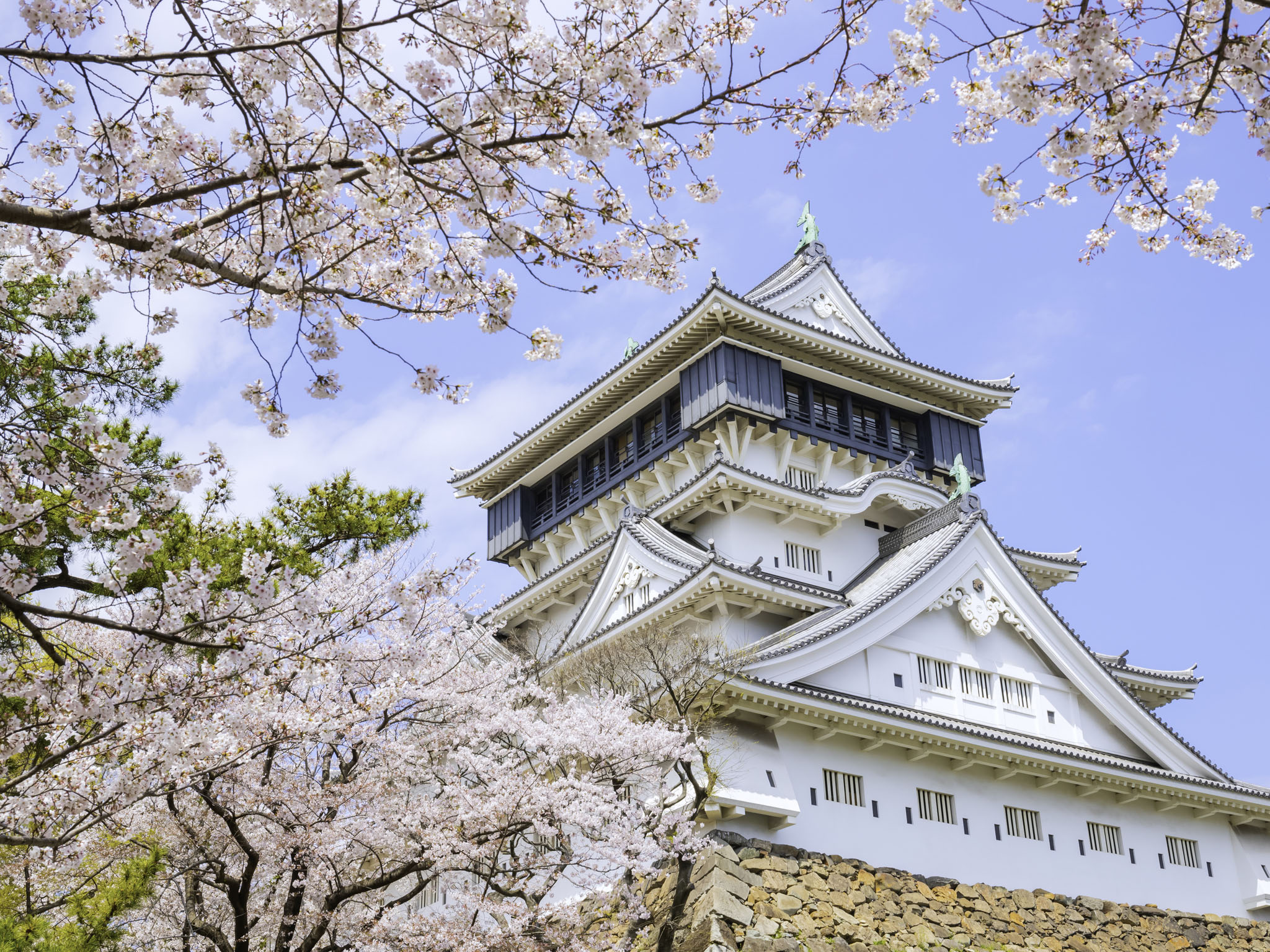 Rihga Royal Hotel Kokura Fukuoka Over view