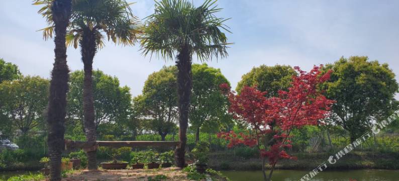 无锡盐府招待所兴源路店图片