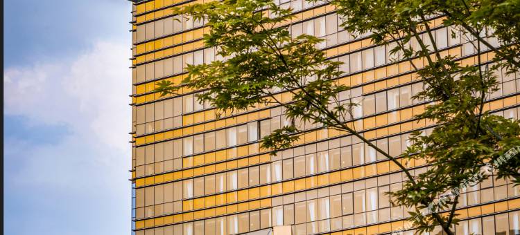 成都非遗博览园缇沃丽酒店图片