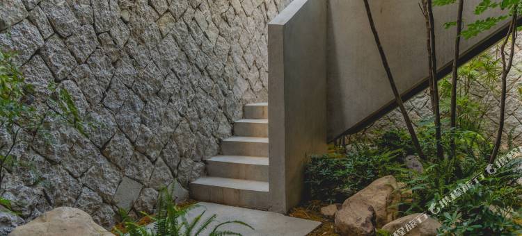 骊上·青骊设计师民宿(莫干山店)图片