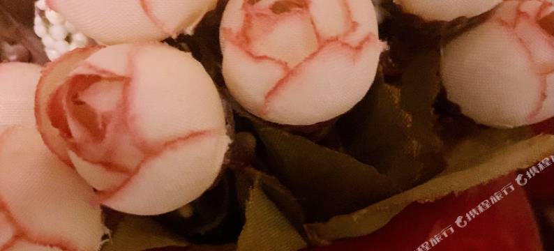 西安抖友之家公寓图片