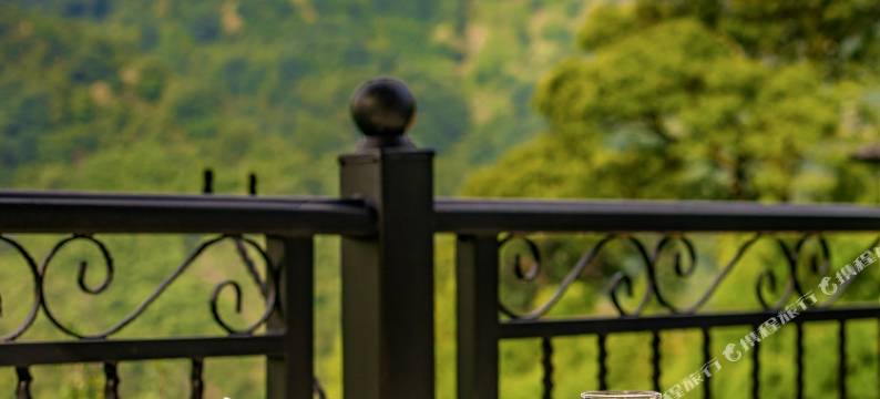 安吉坐忘山云·竹海听风美宿图片