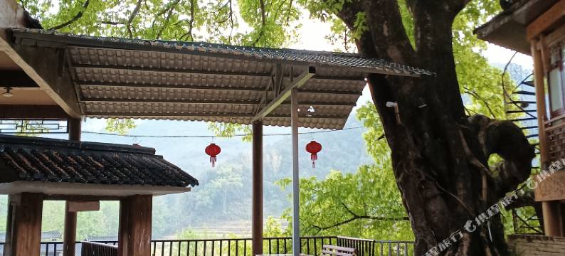 广南大榕树下民宿图片