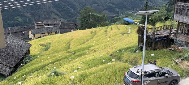 龙脊梯田舍岚居民宿图片