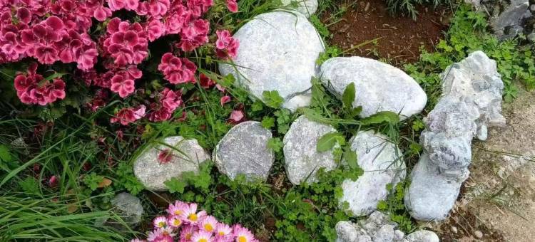 广南院客栈(玉龙雪山别院)图片