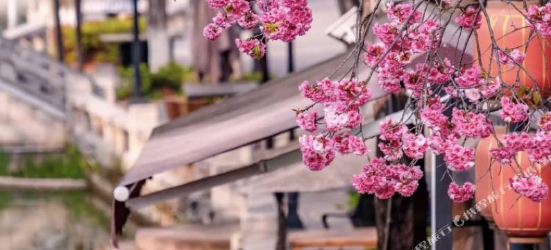 隐居院子·Rests villa 合院别墅(楚雄彝人古镇景区店)图片