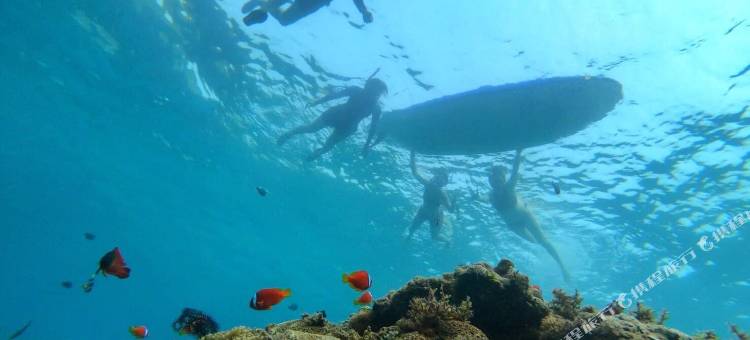 小径民宿-后壁湖海景馆图片