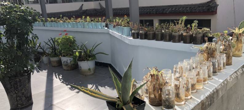 丽江丁公馆酒店图片