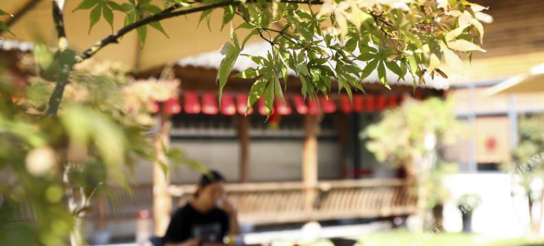 歙县一亩山庄图片