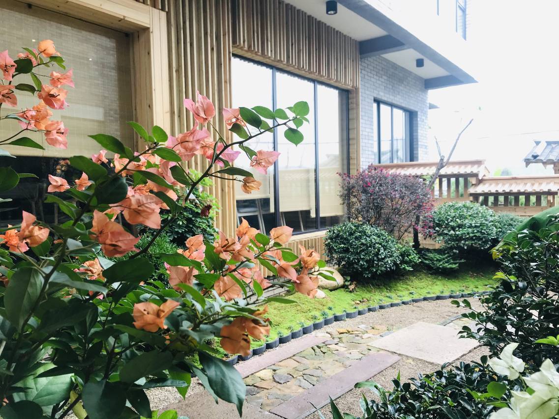 象山三希棠民宿图片