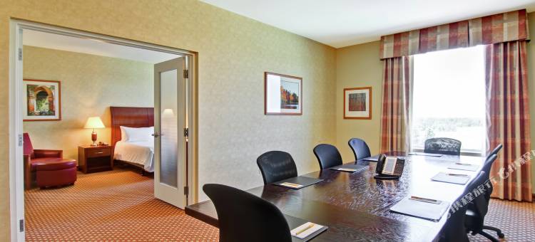 渥太华机场希尔顿花园旅馆(Hilton Garden Inn Ottawa Airport)图片