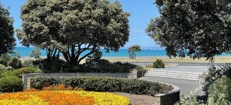 瑞士贝尔酒店-纳皮尔(Swiss-Belhotel Napier)图片