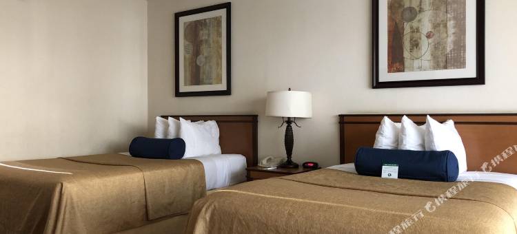 米卡多酒店(Mikado Hotel)图片