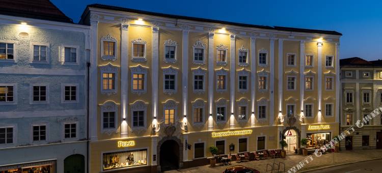 阿梅迪亚广场威尔斯酒店，温德姆Trademark精选(Amedia Plaza Wels, Trademark Collection by Wyndham)图片