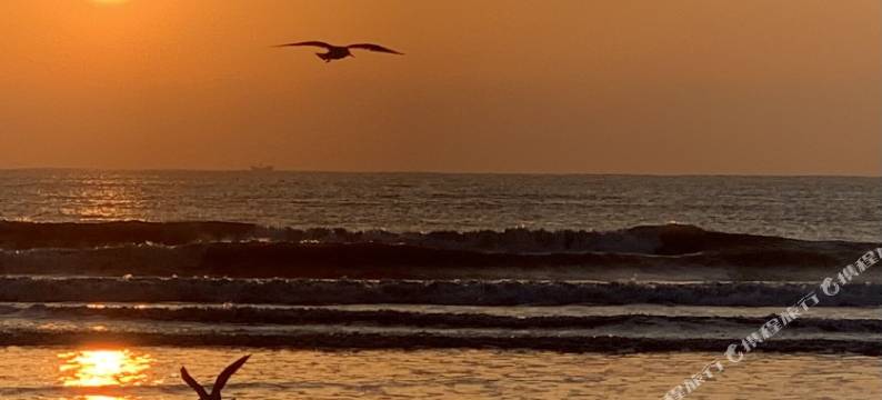 连海酒店(日照海滨国家森林公园店)图片