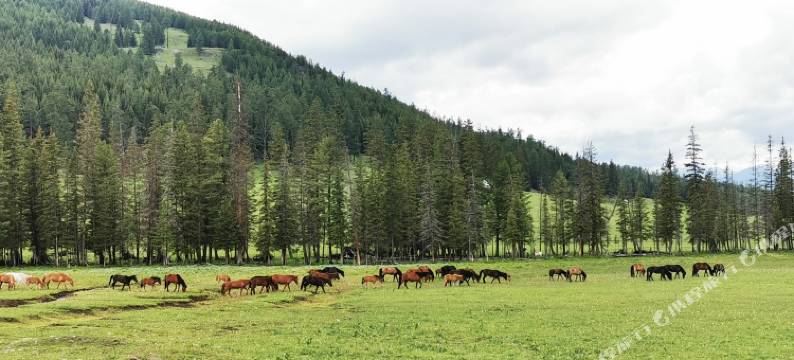 白哈巴陆玖庭院图片
