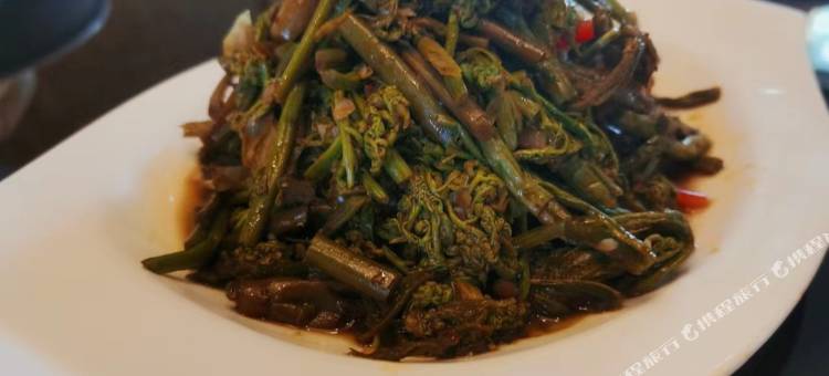 泾源新月生态园图片