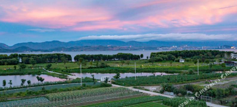 喜宅Astral·青田野趣美宿(龙龛码头店)图片