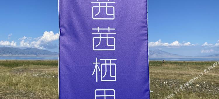 赛里木湖茜茜栖里露营地图片