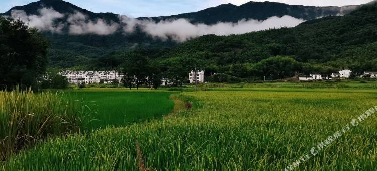 黄山农家小院图片