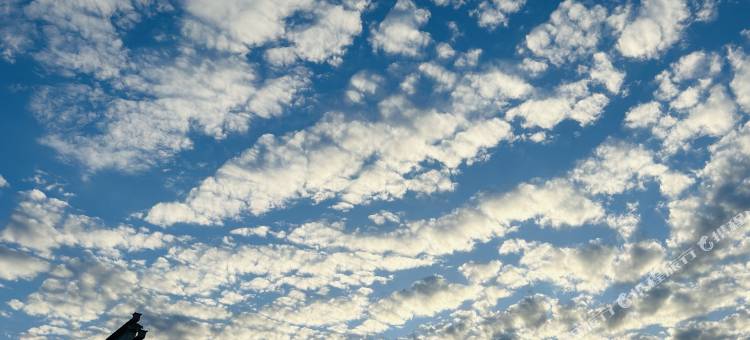 宏村望山云舍民宿(赛金花景区店)图片