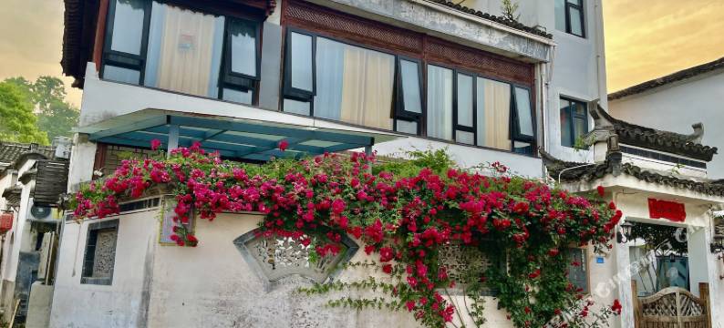 宏村十里风荷·望山观景民宿图片