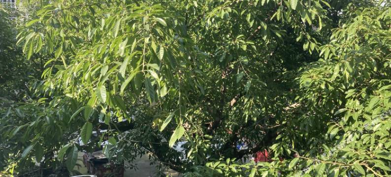 铂曼酒店(金堂店)图片