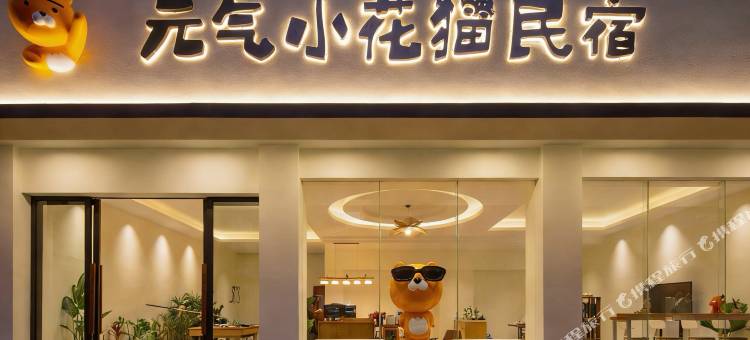 元气小花猫民宿(腾冲市区店)图片