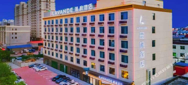 麗枫酒店(衡水武强县泰华广场店)图片