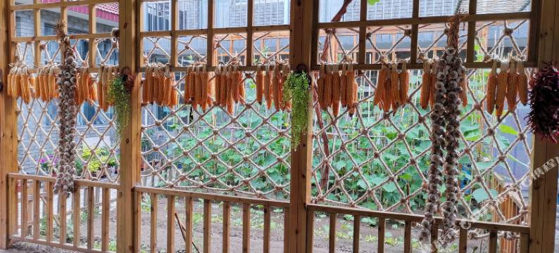 北京白河湾田园农家院图片