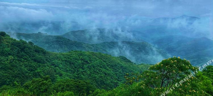 伊川建业绿色基地图片