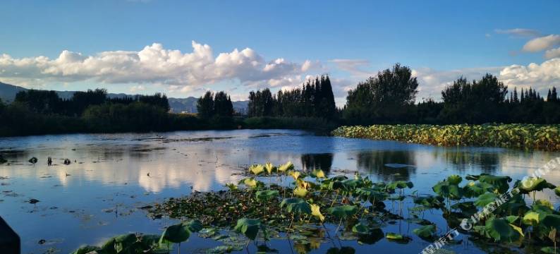 昆明滇池听涛家庭客栈图片