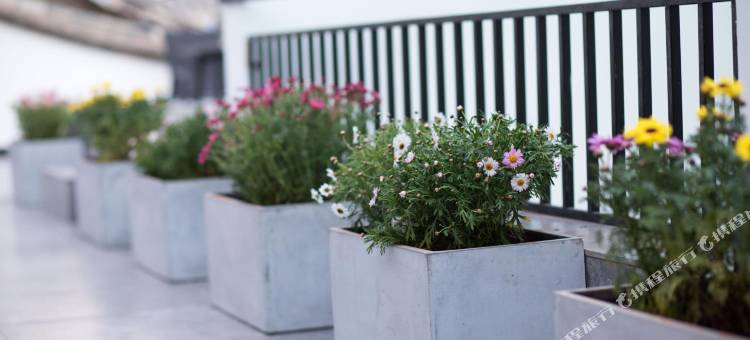 云锦客栈(建水古城朱家花园店)图片