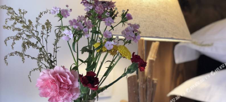 丽水米乐娜客栈图片