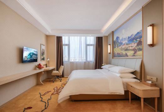 Vienna International Hotel (Ningling Zhanggong Road) Hotel Overview