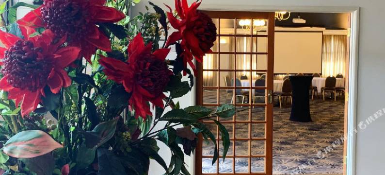 布里斯班国际弗吉尼亚州酒店(Brisbane International Virginia)图片