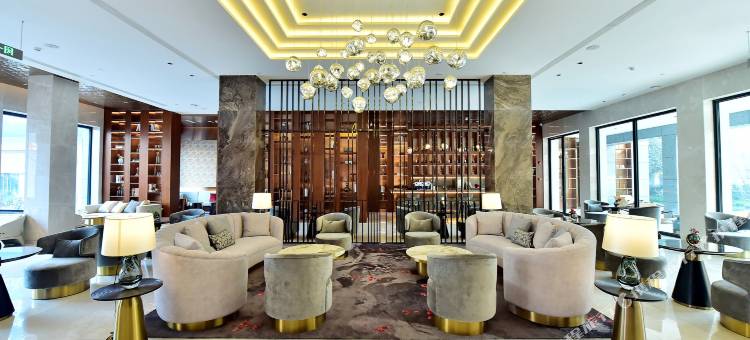 棠湖悠泊豪庭酒店(成都双流国际机场东升地铁站店)图片