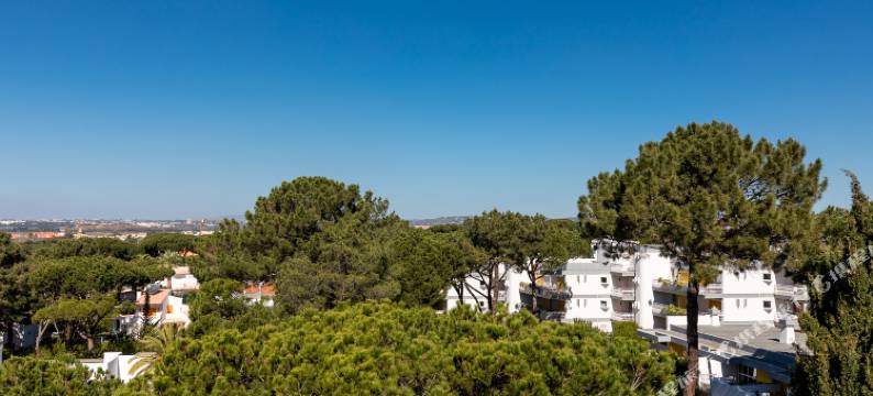 皮尼亚尔码头旅游公寓酒店(Apartamentos Turisticos Pinhal Da Marina)图片