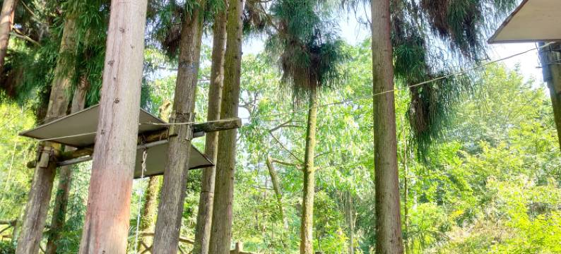 天台山李家院图片