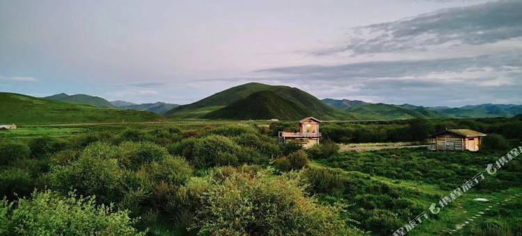 夏河桑青营地图片