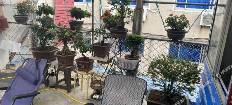 蓬莱喜迎客渔家客栈图片